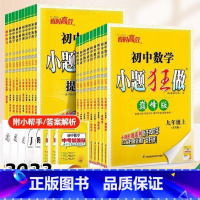 [提优版]数学-苏科版 八年级上 [正版]2024版恩波初中语文数学英语物理小题狂做提优版巅峰版七八九年级上下册苏科78