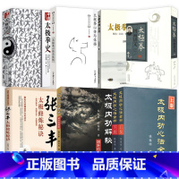 [8册近2800页]太极内功心法全书+太极内功解秘+张三丰太极修炼秘诀+太极拳理心得+太极拳心传与体悟+中国太 [正版]