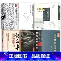 [8册近2800页]太极内功心法全书+太极内功解秘+张三丰太极修炼秘诀+太极拳理心得+太极拳心传与体悟+中国太 [正版]