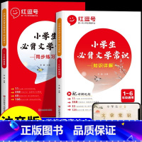 [全套5册]文学常识+句子训练 [正版]抖音同款小学生必背文学常识积累大全小学语文基础知识手册强化训练注音版知识点集锦注