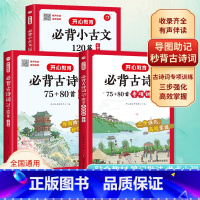 [全3册]必背古诗词+专项训练+小古文 小学通用 [正版]开心教育小学生必背古诗词75十80首人教版专项训练一本小古文1