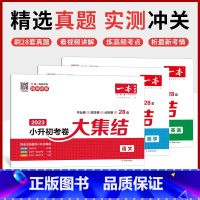 3册[语数英][语文]考卷大集结 小学升初中 [正版]2023小升初总复习试卷 小学毕业升学考卷大集结 语文数学英语小升