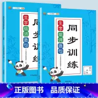 生字组词造句[上册+下册] 小学一年级 [正版]2023新版生字组词造句一年级二年级三四上册下册小学语文同步专项训练题阅