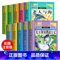 [第四辑]好孩子书屋系列(10册) [正版]好孩子书屋系列第四辑老人与海朝花夕拾汤姆叔叔洋葱头历险爱丽丝漫游奇境列那狐海