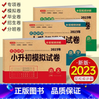 小升初[语数英]模拟卷(含真题卷)⭐3册 小学升初中 [正版]2023小升初真题卷必刷题人教版语文数学英语总复习小学毕业