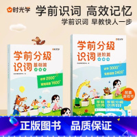 [全4册]基础+进阶 赠游戏书 [正版]学前分级识词学前识字书 入学识字启蒙用书 幼小衔接早教书籍 适用3-8岁幼儿用书