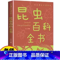 昆虫百科全书 [正版]世界昆虫百科全书 日记幼儿绘本小学生课外阅读书籍一二三年级阅读阅读科普知识书籍自然生物探秘历险记