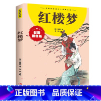 红楼梦 [正版]彩图注音版红楼梦小学生版 四大名著全套注音版 原著儿童版带拼音青少年版小学课外书少儿彩图课外阅读书籍学生