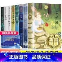 纽伯瑞获奖集(8册) [正版]纽伯瑞国际儿童文学金奖小说系列全套 中小学生老师二三四五六年级下册必读的课外书 经典读物儿