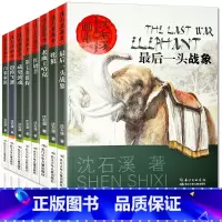 沈石溪动物小说全套8册 [正版]沈石溪动物小说全套8册画本系列全集斑羚飞渡儿童6老鹿王哈克