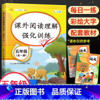 课外阅读理解强化训练 小学五年级 [正版]小学五年级上下册语文课外阅读理解强化训练书 小学5年级全一册语文课外阅读理解看