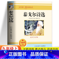 泰戈尔诗选 [正版] 泰戈尔诗选原著未删减 初中生九年级上下册书目读本课外书 外国文学小说世界名著经典诵读新月集飞鸟集泰