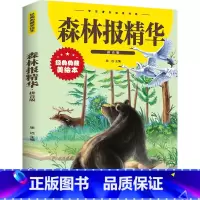 森林报精华 [正版]森林报精华春夏秋冬 彩图注音版经典典藏美绘本 一二三四五六年级小学生课外阅读书籍儿童读物课外书8-1