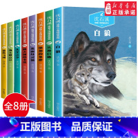 沈石溪动物小说(全8册) [正版]沈石溪动物小说全集全套8册 沈石溪的书全系列 小学生三五六年级读课外书籍 适合5年级阅