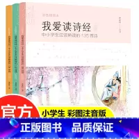 [彩图注音版]我爱读诗经(全3册) [正版]我爱读诗经3册 小学生应该熟读的135首小学生课外阅读书籍彩图注音版儿童文学