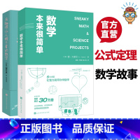 [正版]数学本来很简单+有趣得让人睡不着的数学 共2本 奇妙好玩的数学 数学故事 趣味数学 原来数学可以这样学 数学原