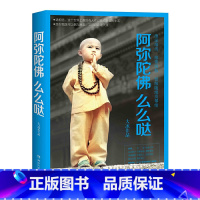 [正版] 阿弥陀佛么么哒 大冰继《乖摸摸头我不大冰的新书全套四五册》暖心励志故事随笔青春励志丛书籍短篇小说集你坏