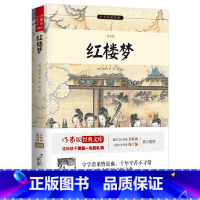 红楼梦青少版 [正版]小书虫读经典《红楼梦》青少年版 作家版经典文库 中国传统文化四大名著儿童文学 给孩子受益一生的礼物