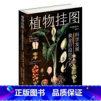 [正版]植物挂图:科学发展黄金阶段的艺术(120余幅精美挂图,解读多姿多彩的植物世界,精巧描绘植物生命的奥秘)