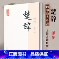 [正版]楚辞译注 国学经典译注丛书 简体横排 大众普及本 董楚平撰 原文注释白话文译文 初读者 经部古典诗歌文学书籍