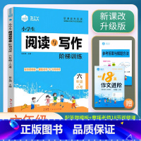 阅读与写作 小学六年级 [正版]2023思脉小学生语文阅读与写作阶梯训练6六年级+小考视频课讲解小学生六年级上下册语文阅