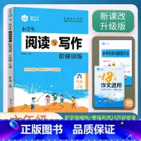 阅读与写作 小学六年级 [正版]2023思脉小学生语文阅读与写作阶梯训练6六年级+小考视频课讲解小学生六年级上下册语文阅