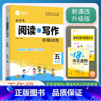 阅读与写作 小学五年级 [正版]2023思脉小学生语文阅读与写作阶梯训练5五年级作文快速提分视频课讲解小学五年级上下册语