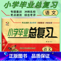 [正版]2023 小升初小学毕业总复习 语文 南海出版社 六年级小学毕业升学语文总复习综合测试卷考点速测专题集训期末冲