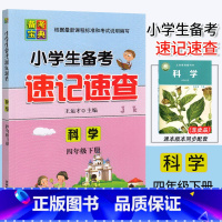 科学.教科版JK 四年级下 [正版]2023新版小学生备考速记速查 科学 四年级下册教科版J核心知识速查小学生4年级下册