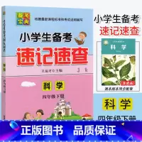 科学.教科版JK 四年级下 [正版]2023新版小学生备考速记速查 科学 四年级下册教科版J核心知识速查小学生4年级下册