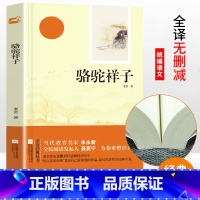 骆驼祥子 [正版]木头马初中统编语文配套阅读 骆驼祥子 老舍著 初一七年级下册课外名著阅读书目7年级下册语文课外书籍经典