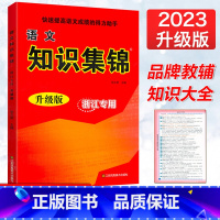 [正版]2023新版超能学典小学语文知识集锦升级版浙江小学生语文基础知识大全123456年级知识精粹集锦小升初语文总复