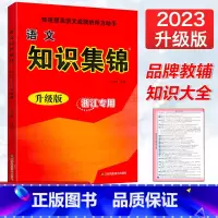[正版]2023新版超能学典小学语文知识集锦升级版浙江小学生语文基础知识大全123456年级知识精粹集锦小升初语文总复