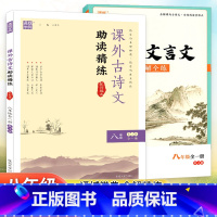 八年级2本[文言文+古诗文] 初中通用 [正版]通成学典 初中文言文全解全练七八九年级人教版课外古诗文助读精练部初一初二