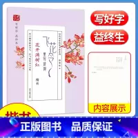[正版]硬笔书法 飞花令里写诗词(花开满树红)古典诗词楷书练字帖田雪松书 时代文艺出版社 小学初高中成人非临摹字帖硬笔
