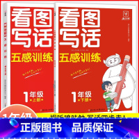 看图写话2本.一年级[上册+下册] 小学通用 [正版]2024新版金牛耳 小学生看图写话五感训练1一2二年级上册下册彩图