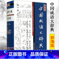 [正版] 新版中国成语大辞典 上海辞书出版社 中国成语 成语词典 中小学生适用 汉语词典 王涛 汉语工具书大系 世纪出