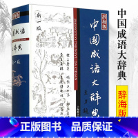 [正版] 中国成语大辞典辞海版 成语词典中小学生适用汉语词典 王涛 汉语工具书大系语言文字词典小学教辅 上海辞书出版社