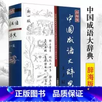 [正版] 中国成语大辞典辞海版 成语词典中小学生适用汉语词典 王涛 汉语工具书大系语言文字词典小学教辅 上海辞书出版社