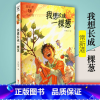 单册 [正版] 我想长成一棵葱 常新港作品励志成长系列 小学生课外阅读书籍 儿童文学书儿童故事书6-12周岁儿童故事励志