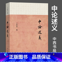 [正版]中论述义 王孺童撰分析回归佛典本义佛教书籍认识宗教哲学佛教经典中论广释全面解读阐释中论百论十二门论佛学述义专著