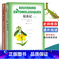 [正版]全2册 红星照耀中国 昆虫记 初中生八年级上课外阅读书籍青少版初高中生阅读原著完整版原版人教版人民文学出版社