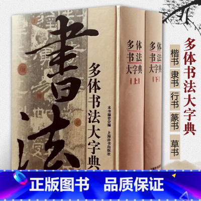 [正版]多体书法大字典艺术书法篆刻字帖工具书书籍大全书法字典大全工具书学习辞典工具书书法初学者入门套装上海辞书出版社