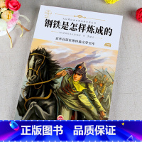 八年级课外书_钢铁是怎样炼成的 [正版]钢铁是怎样炼成的 书原著完整版 初中八年级下世界经典文学名著 初中生课外书老师