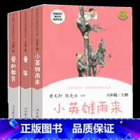 快乐读书吧 六年级上册_全套3册 [正版]快乐读书吧六年级上册 爱的教育小英雄雨来童年人民教育出版社曹文轩小学语文六年级