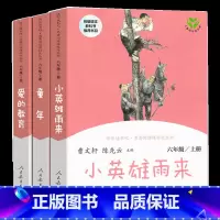快乐读书吧 六年级上册_全套3册 [正版]快乐读书吧六年级上册 爱的教育小英雄雨来童年人民教育出版社曹文轩小学语文六年级