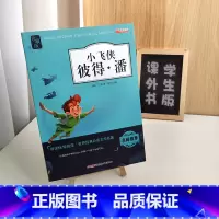 小学课外书_小飞侠 彼得潘 [正版]知识考题版 小飞侠彼得潘 名师导航无障碍阅读名著快乐阅读系列