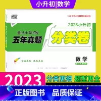五年真题分类卷数学 小学升初中 [正版]2023新版 星空小升初数学五年真题分类卷小学毕业升学 5年真题分类卷数学小升初