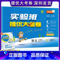 语文 二年级上 [正版]2023秋小学语文实验班提优大考卷二年级上册人教版 2年级上册语文单元基础巩固分层能力提优期中期