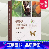 [正版] 常州市园林病虫害图鉴(精)刘皎华 植物园林养护工作者园林植物病虫害 常州图谱农业、林业书籍 上海科学技术出版